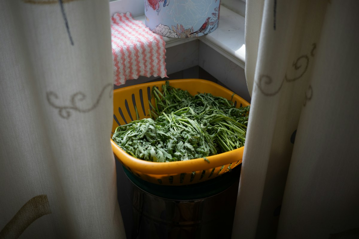 Légumes riches en fibres et nutriments essentiels